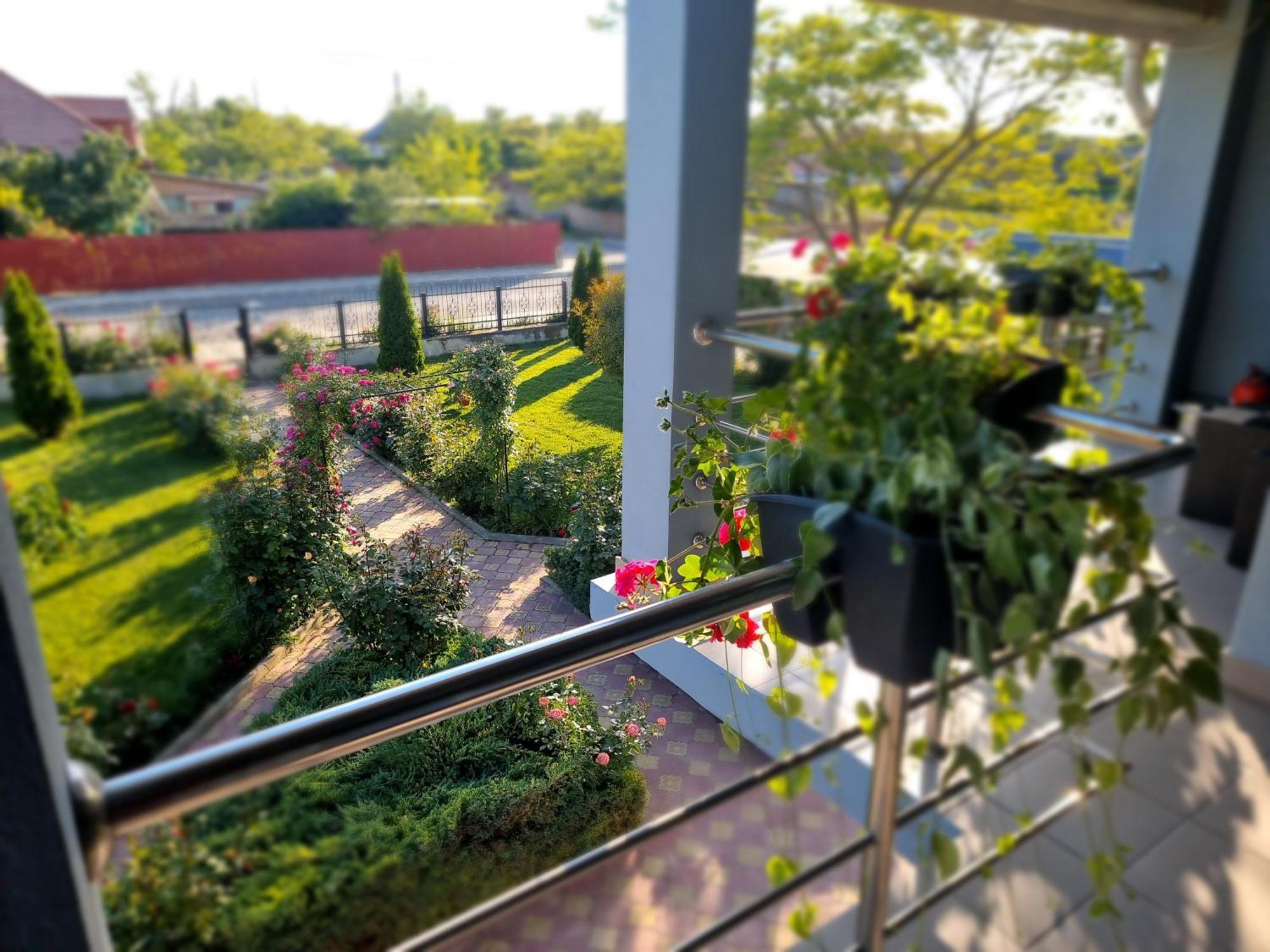 Casa Cu Trandafiri Муригьол Экстерьер фото