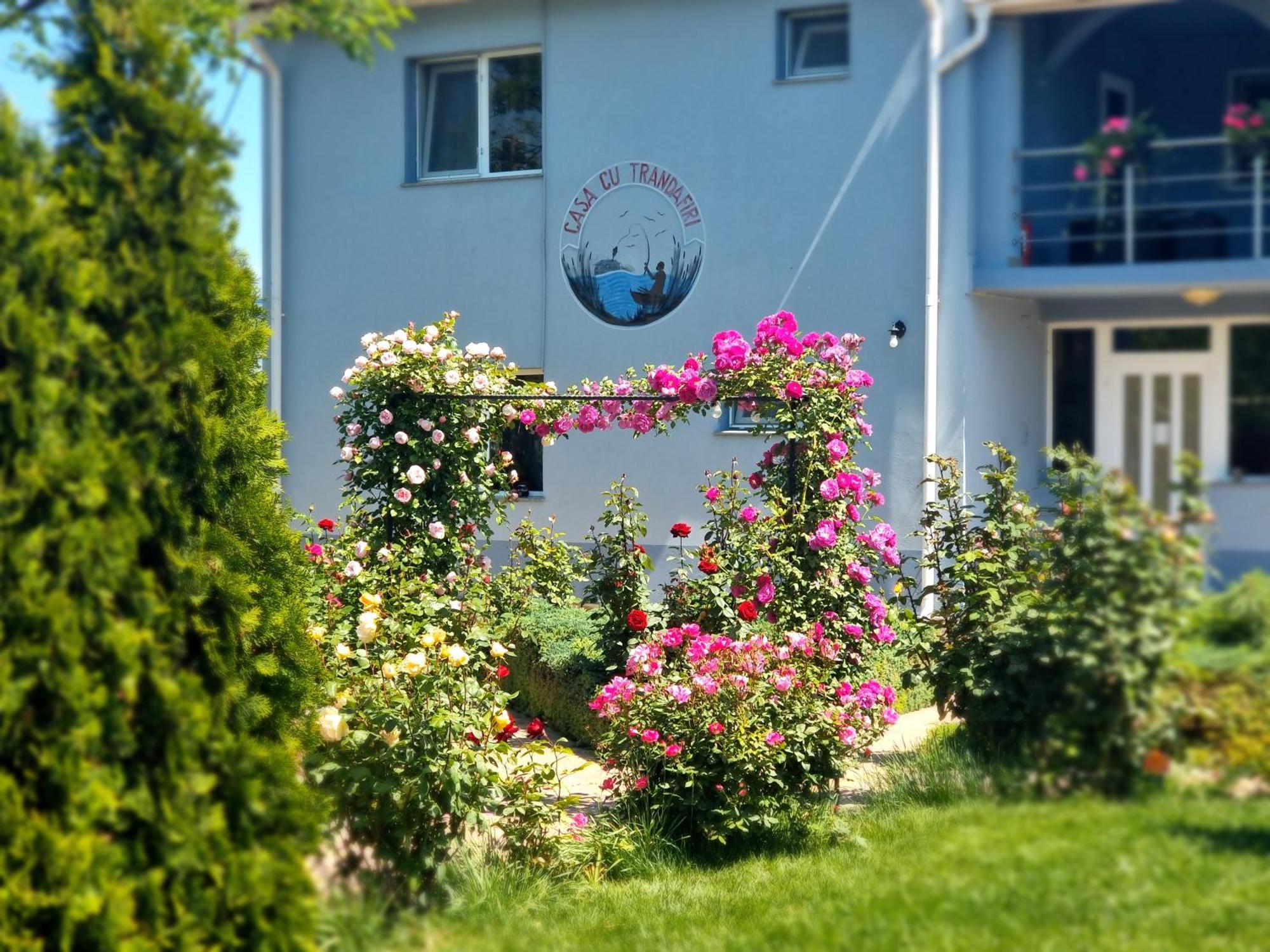 Casa Cu Trandafiri Муригьол Экстерьер фото