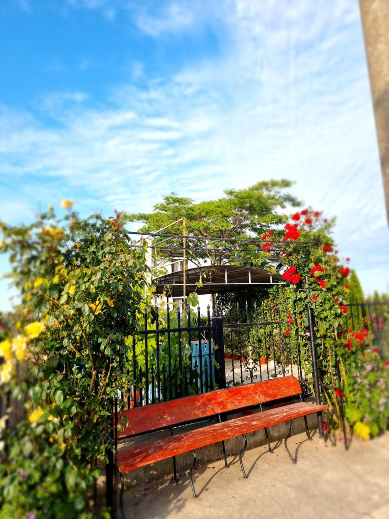Casa Cu Trandafiri Муригьол Экстерьер фото